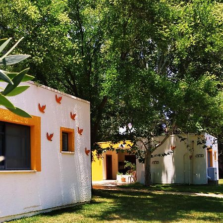 Amiad Joseph Well Country Inn Ammiad Exterior foto