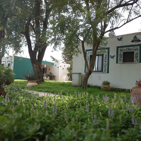 Amiad Joseph Well Country Inn Ammiad Exterior foto