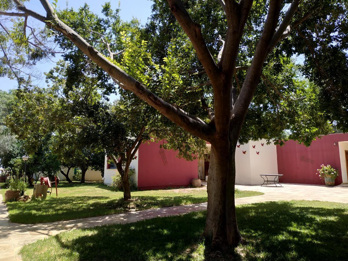 Amiad Joseph Well Country Inn Ammiad Exterior foto